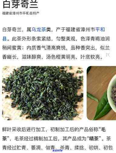 奇兰茶的功效与作用-白芽奇兰茶的功效与作用