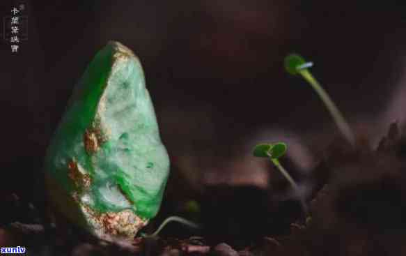 翡翠料，探索翡翠之美的新视角：翡翠料的魅力与独特之处