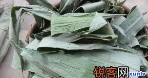 粽叶茶的功效与作用禁忌，【粽叶茶】：功效、作用及使用禁忌全解析