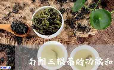 三根茶的功效和作用-三根茶的功效和作用及禁忌