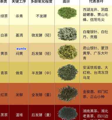 如何从叶底准确区分不同茶类和茶叶品种