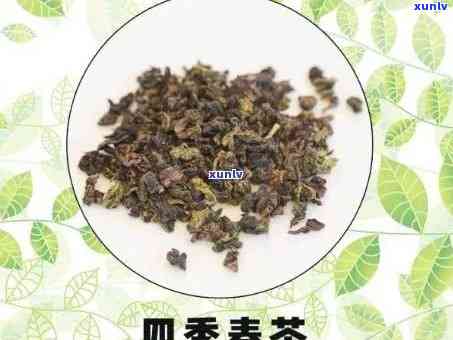 四讲茶的功效与作用-四讲茶的功效与作用是什么