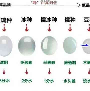 冰种的种类和类型：详细解析