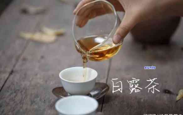 白露茶的功效与作用是什么？详解其保健效果和饮用  