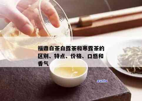 白露茶属于什么档次？价格多少？全面解析