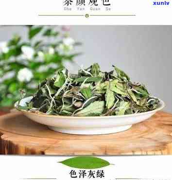 白露茶的功效与作用-白露茶的功效与作用是什么