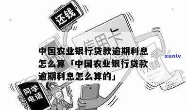 农业贷款逾期利息-农业贷款逾期利息怎么算