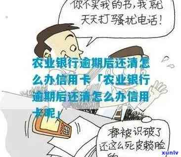 农业银行小额逾期-农业银行小额逾期怎么办