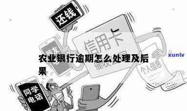 农业银行小额逾期-农业银行小额逾期怎么办