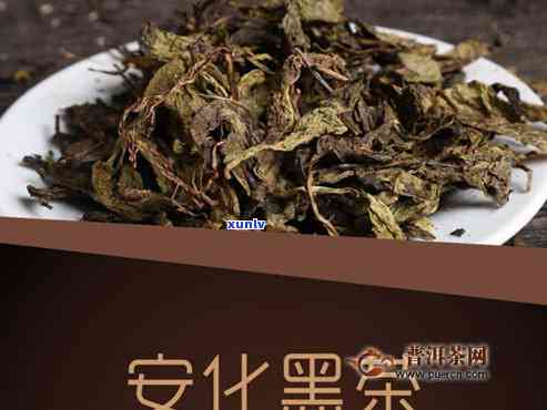 安化黑茶的功效与作用：全面解析及其禁忌与副作用