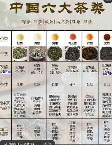 我国基本茶类有几类-我国基本茶类有几类类型