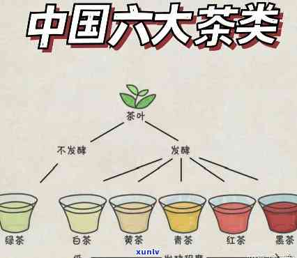 我国基本茶类有几类-我国基本茶类有几类类型