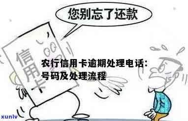 农业银行逾期 *** ：号码是多少？催款方式是什么？