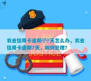 农业信用币卡逾期-农业信用币卡逾期怎么办