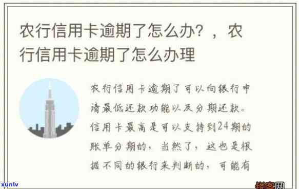 农业信用币卡逾期-农业信用币卡逾期怎么办