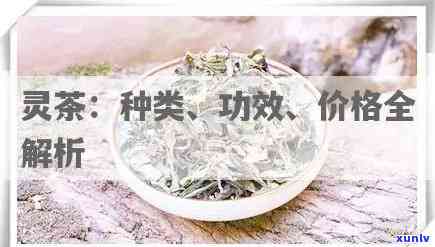 87年冰岛熟茶，时光流转：探寻87年的冰岛熟茶历与韵味