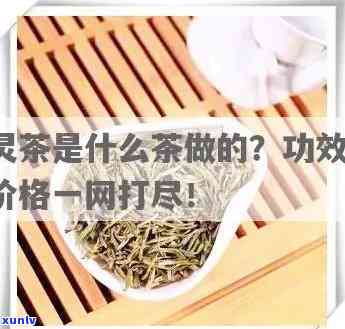 灵茶的功效与作用-灵茶的功效与作用及禁忌