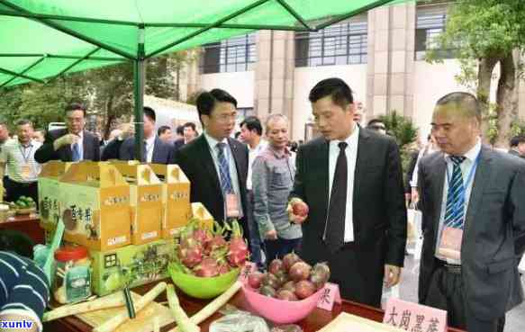 87年冰岛熟茶，时光流转：探寻87年的冰岛熟茶历与韵味