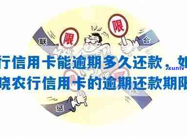 【最新价格】2013年勐海今大福七子饼茶尊享青饼、2012-2014年各年份价格全览