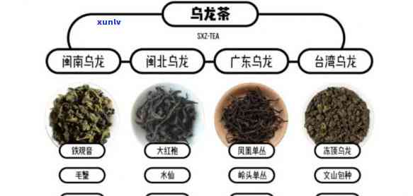 深入了解青茶： ***  *** 、功效与作用全解析