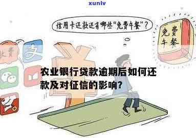 农业贷款逾期还款解决方案：怎样及时偿还？