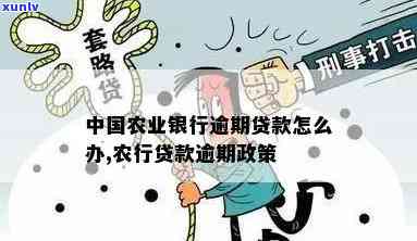 农业贷款逾期还款-农业贷款逾期还款会怎么样