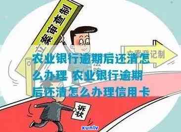 农业银行逾清收超以后怎么解决，农业银行逾期清收超过预期，下一步怎样解决？