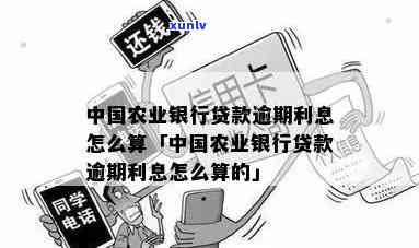 农业银行逾期处理及利息计算 *** 