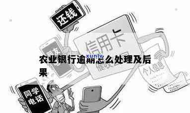 农业银行逾期立案-农业银行逾期立案流程