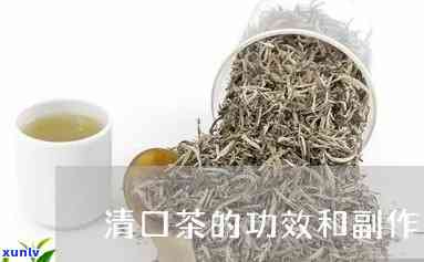 清口茶的功效与作用详解