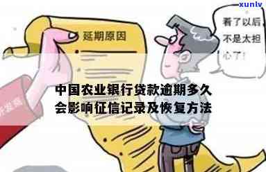 农业银行逾期记录消除所需证明材料及期还款政策