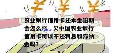 农业银行本金逾期怎么办，怎样解决农业银行贷款本金逾期疑问？