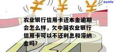 农业银行本金逾期怎么办，怎样解决农业银行贷款本金逾期疑问？