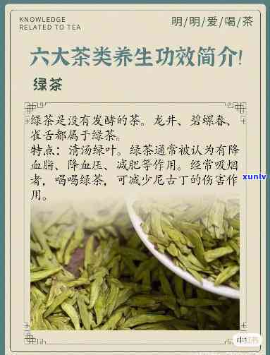 六大茶的功效与作用-六大茶的功效与作用禁忌