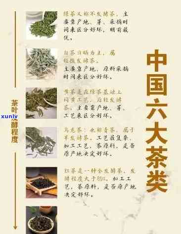 六大茶的功效与作用-六大茶的功效与作用禁忌