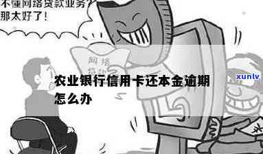 农业银行本金逾期-农业银行本金逾期怎么办