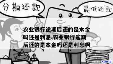 农业银行本金逾期-农业银行本金逾期怎么办