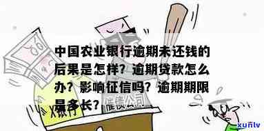 中国农业银行逾期贷款怎么办，中国农业银行逾期贷款解决  