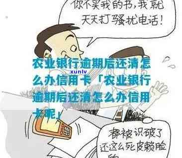 农业银行逾期处理-农业银行逾期处理流程