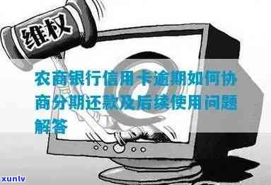 农业逾期协商成功：怎样查询与后续解决？