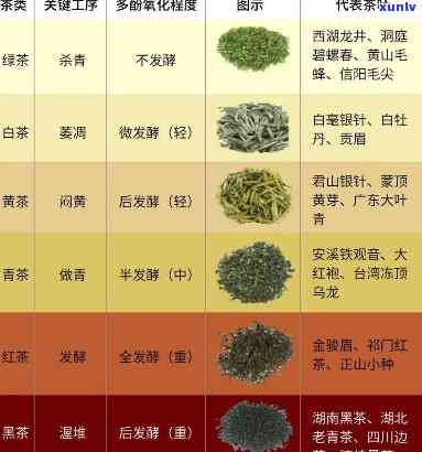 下列哪些属于青茶类型，探究茶叶世界：哪些属于青茶类型？