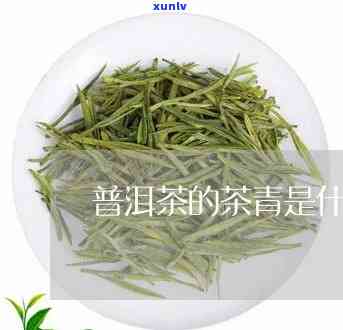 下列哪些属于青茶类型，探究茶叶世界：哪些属于青茶类型？