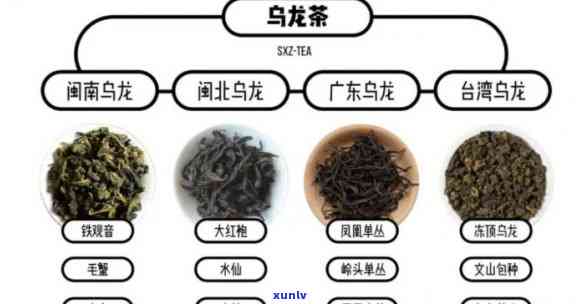 下列哪些属于青茶类型，探究茶叶世界：哪些属于青茶类型？