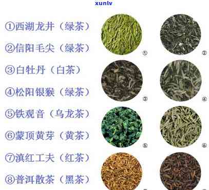 下列哪些属于青茶类型，探究茶叶世界：哪些属于青茶类型？