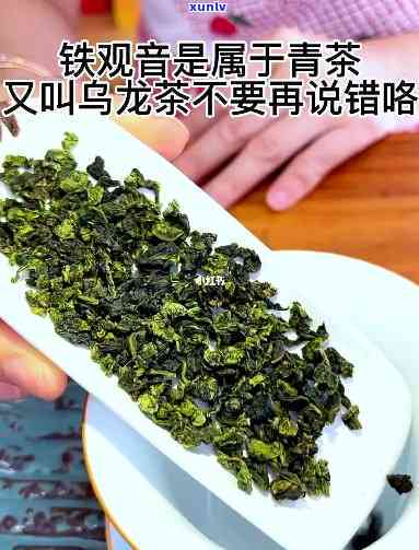 下列属于青茶的是：乌龙茶、铁观音、大红袍等