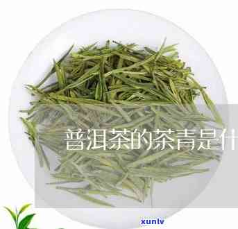 下列哪些属于青茶类-下列哪些属于青茶类产品