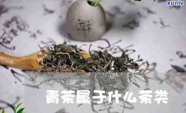 下列哪些属于青茶类-下列哪些属于青茶类产品