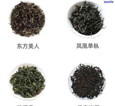 下列哪些属于青茶类-下列哪些属于青茶类产品