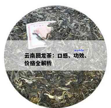 回龙茶怎么样，探究回龙茶的品质与口感：一份详细的评测报告