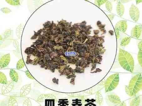 四青茶的功效与作用-四青茶的功效与作用及禁忌